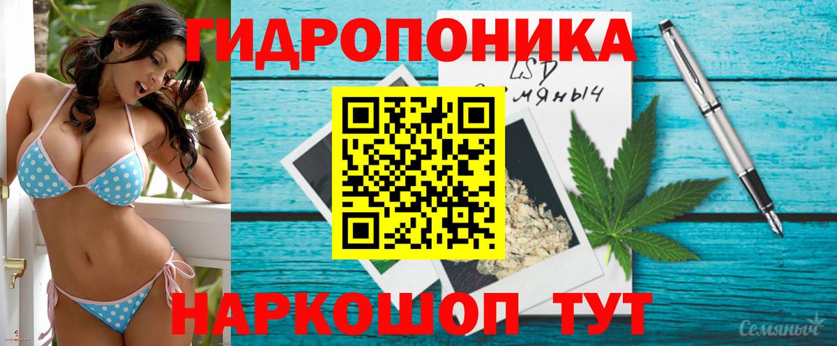 Михайловск  Каннабис сатива  Шишки марихуана индика  Каннабис VHQ  Бошки Шишки планчик  Вход с VPN 